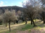 IMG-20250714-WA0054
