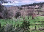 IMG-20250714-WA0066