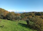 IMG-20250714-WA0067