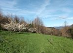 IMG-20250714-WA0068