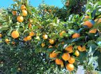 IMG-20250714-WA0069
