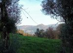 IMG-20250714-WA0076