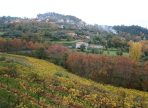 IMG-20250714-WA0078