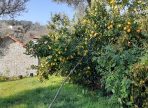 IMG-20250714-WA0080