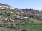 IMG-20250714-WA0081