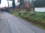 IMG-20250813-WA0001
