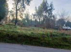 IMG-20250813-WA0002