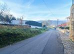 IMG-20250813-WA0003